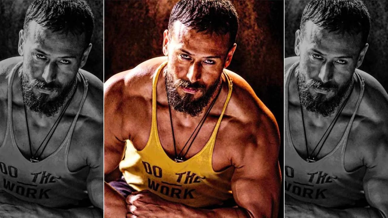 Baaghi 4 Box Office Collection in Hindi – टाइगर श्रॉफ की फिल्म का बजट और कमाई